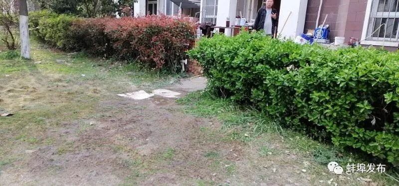 新房没入住物业费能打折吗？居民医保住院报销比例是多少？研究生*款贷**买房有补助政策吗？本期新媒问政为您逐一权威解答