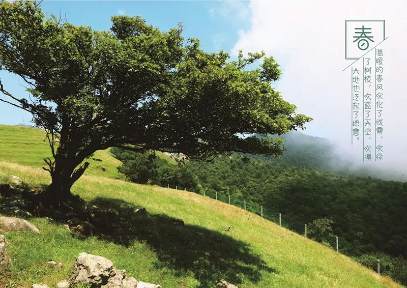 有宜昌旅游年卡哪些景区免费,宜昌旅游年卡包含哪些景点2023