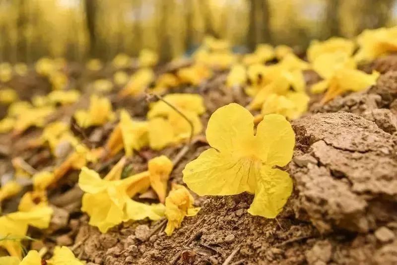 诏安小云水谣,诏安旅游团云水谣景区