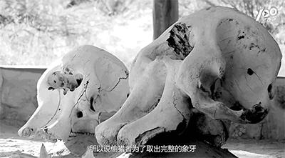 跟刘昊然在非洲过了6天5夜,发现他其实就是个话痨加多动症啊……