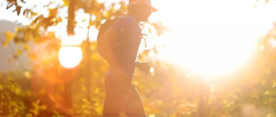 央视主持人郎永淳个人简历,郎永淳和妻子抗癌视频