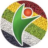 如何用一勺酸奶制作一碗酸奶,如何用一杯酸奶做一个美食