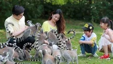 上海魔都景区,上海魔都必去景点免费