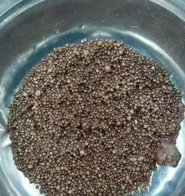 肾里面结石1公分最佳治疗方法,小结石大疼痛防治肾结石请这样做