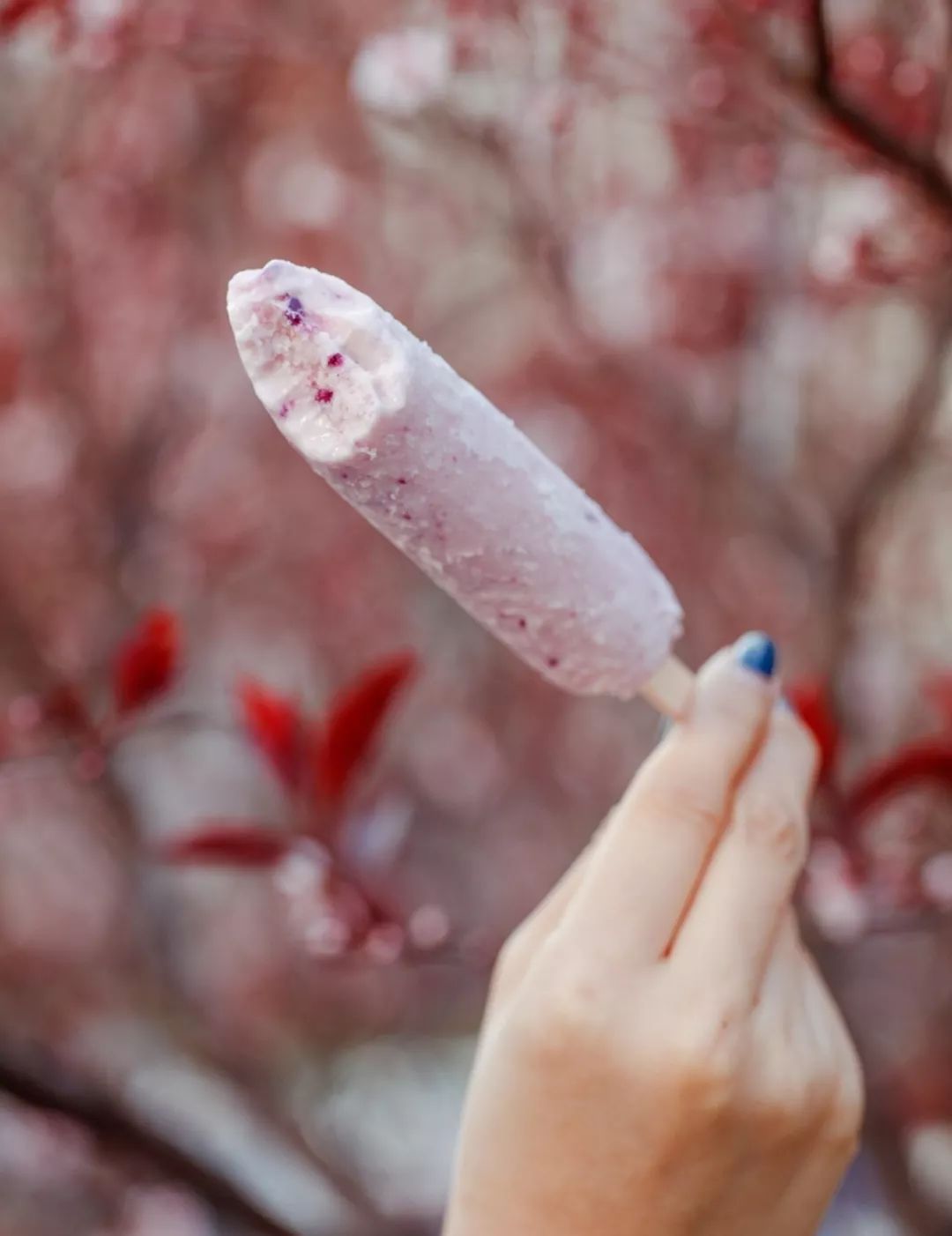 7.11便利店什么雪糕值得买,适合便利店的雪糕