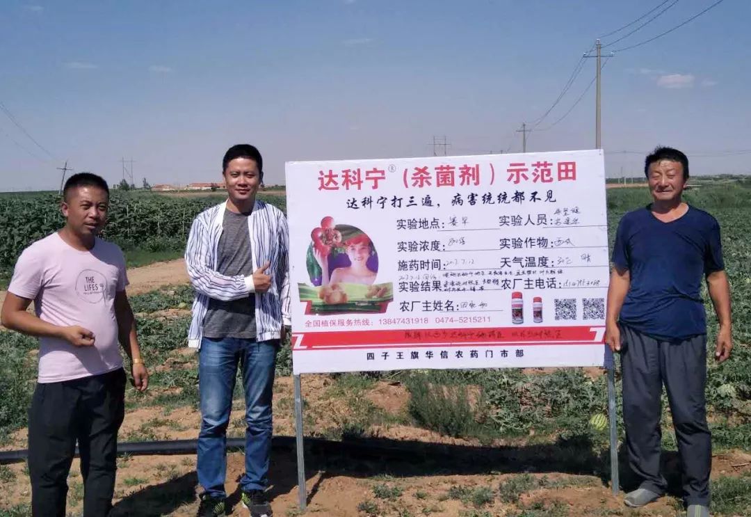 达科宁杀菌剂,达科宁百菌清杀菌剂