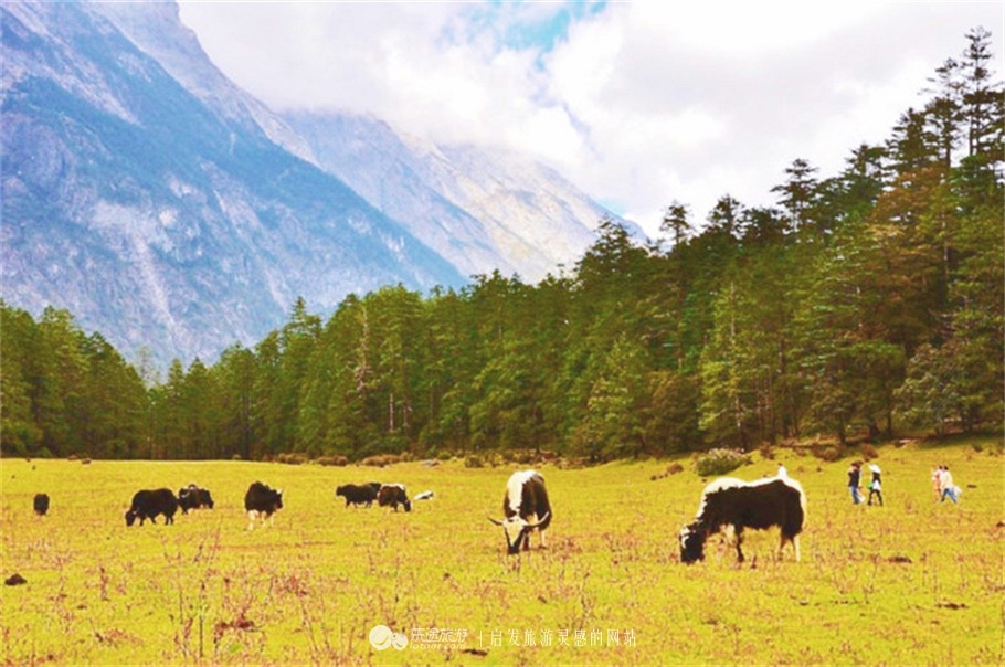 想去丽江看玉龙雪山怎么走呢,想要深度玩转丽江的玉龙雪山