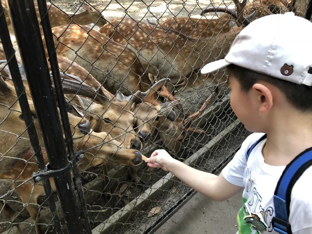 招募丨2019暑期精品小团，蒲蒲兰带你去见宫西达也！