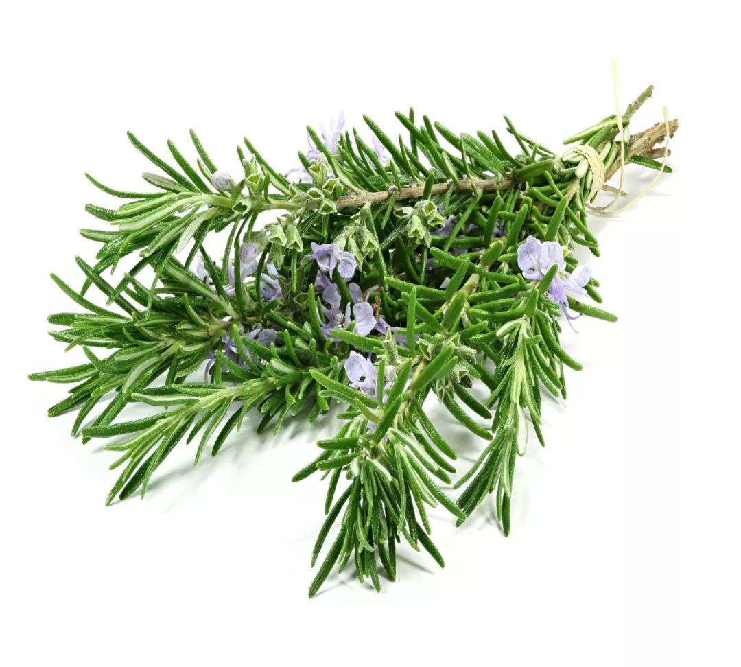 防脱育发喷雾直播,脱发育发喷剂正品旗舰店