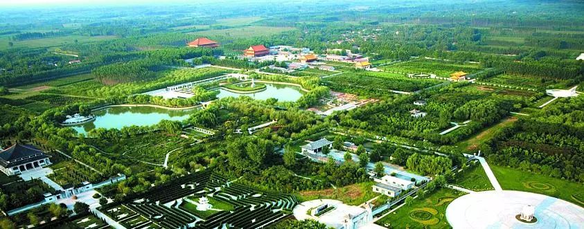 菏泽观赏牡丹花基地,菏泽牡丹花什么时候欣赏最好