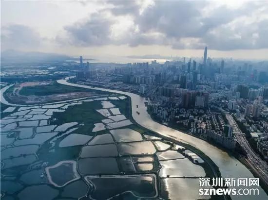 深圳河全景图片,深圳河水质怎么样