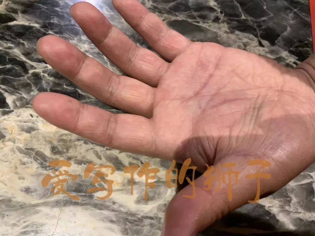 参加中小学生体测,杭州市小学体测项目