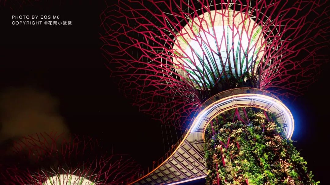 真香原版图片大全,新加坡图文旅游攻略