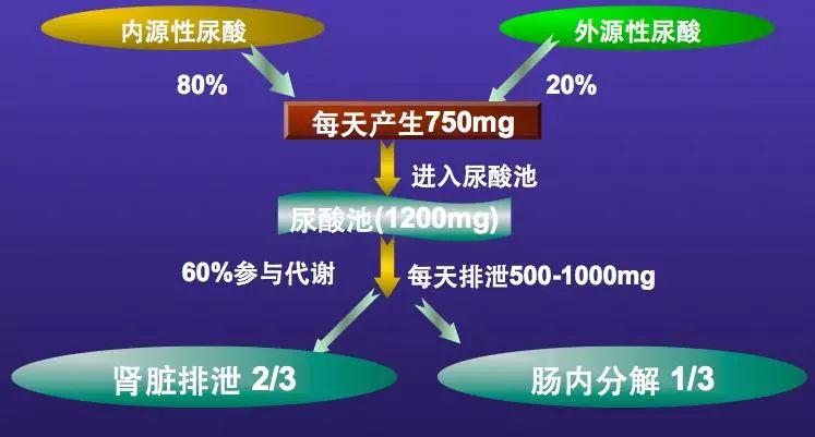 尿酸高不能吃的八种蔬菜图片,尿酸高不能吃哪些食物和蔬菜