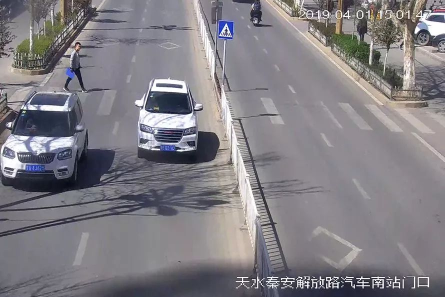 交通违法曝光台案例,交通违法曝光台