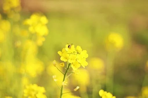 电话联系不到人该怎么办,做不到什么也不管怎么办