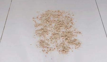 性价比超好用的吸尘器测评,平价吸尘器测评排行榜前十