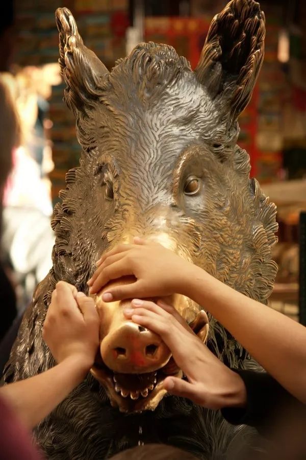 野猪的“世界史”,也是一部《权力的游戏》