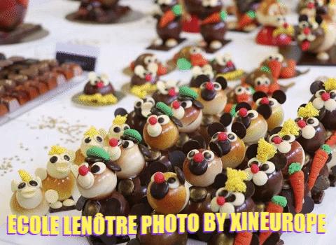 【留学】春风十里不如探校走起！留法史上最全合集