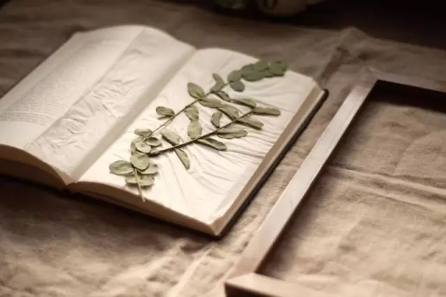 干花制作手工画,做手工diy干花