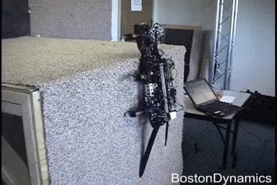 硅谷“逆天”机器人刷屏，人类已经无法阻挡AI了？