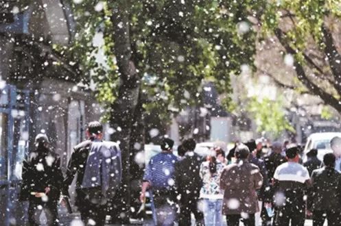 作为一个过敏性鼻炎患者的春季自救指南！