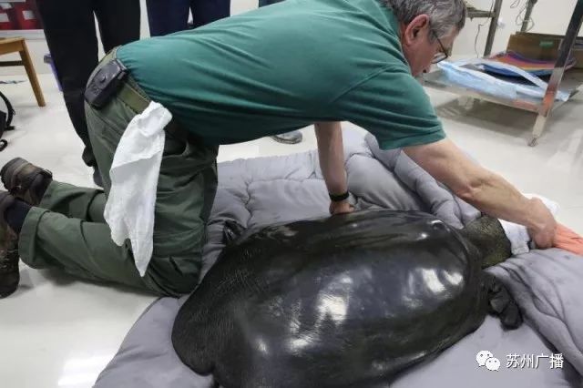 世界最孤独的中国神兽,全球十大孤独神兽