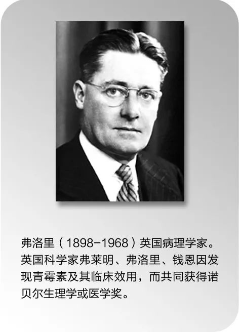 抗菌药物科普知识ppt,抗菌药物科普