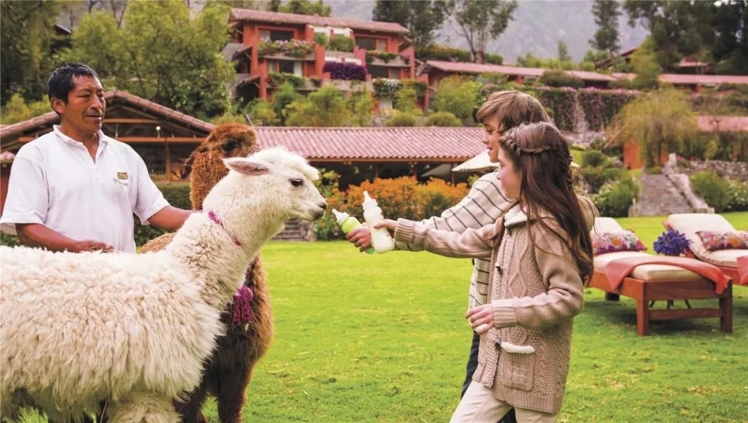 从此，LV不仅可以用来背，还可以用来睡…