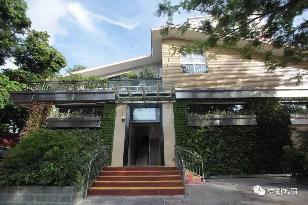 9大行动！罗湖掀起了一股热潮！齐心协力干好这件事！