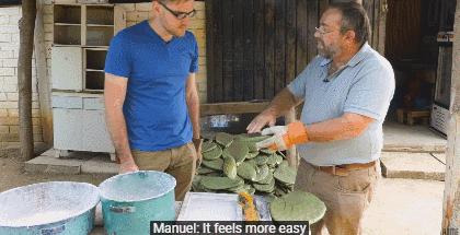 BBC又来惊爆：你抹口红，就是在亲吻上万只昆虫尸体？美丽背后这么血腥…