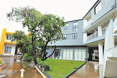 工业园“华丽转身”，成“网红打卡地”