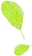 任正非讲述白手起家的故事,听白手起家创业故事