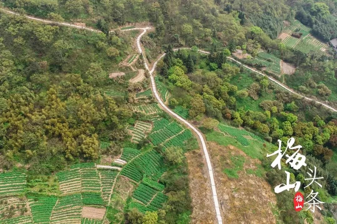 重要通知！人人人...今天梅山湾沙滩公园限流！还有这些，北仑人看了可能高兴不起来