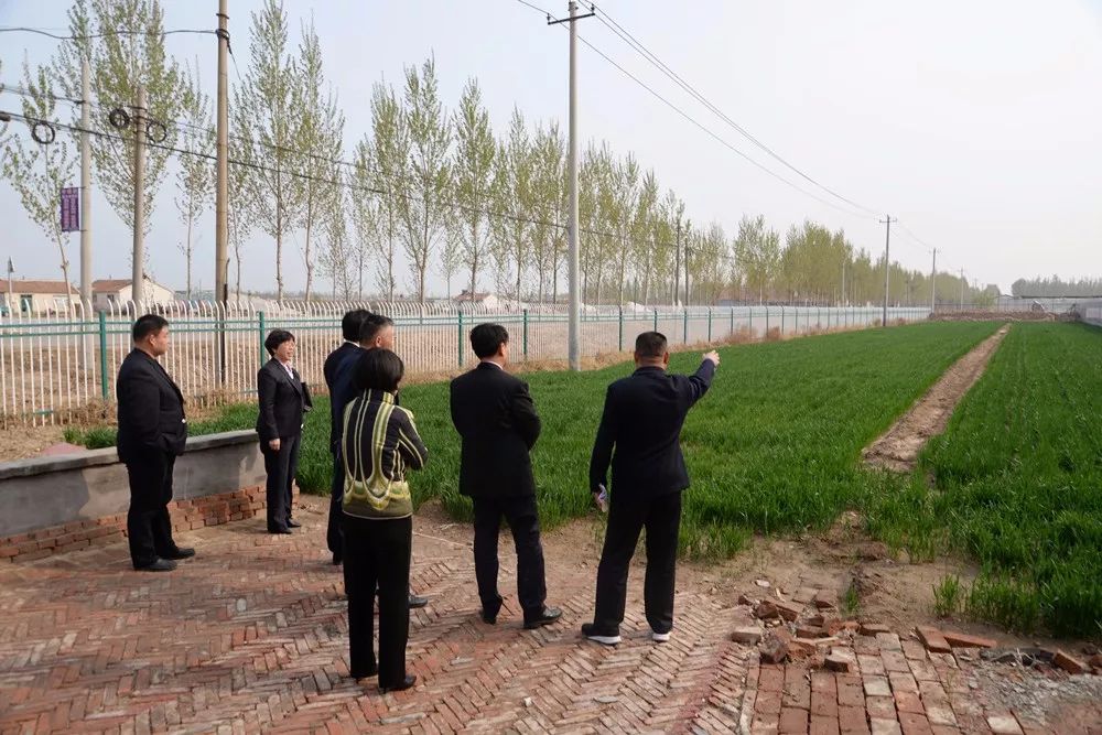 优秀检察建议和回复,检察建议效果评估