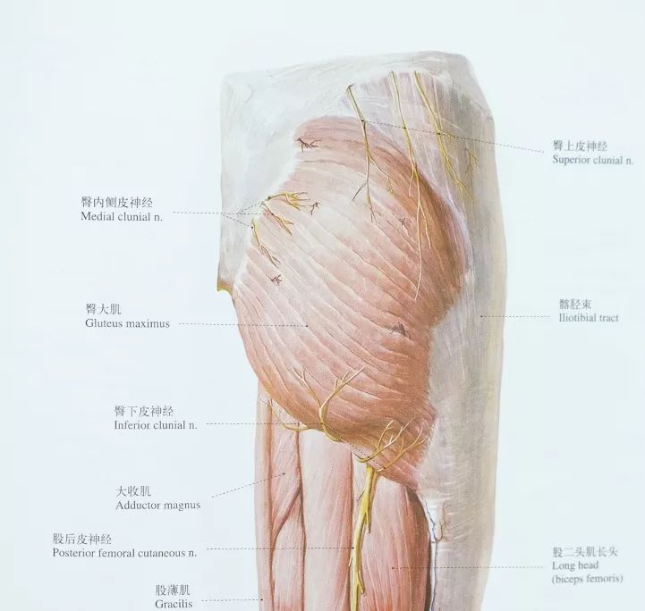 这样和女朋友睡觉,更持久
