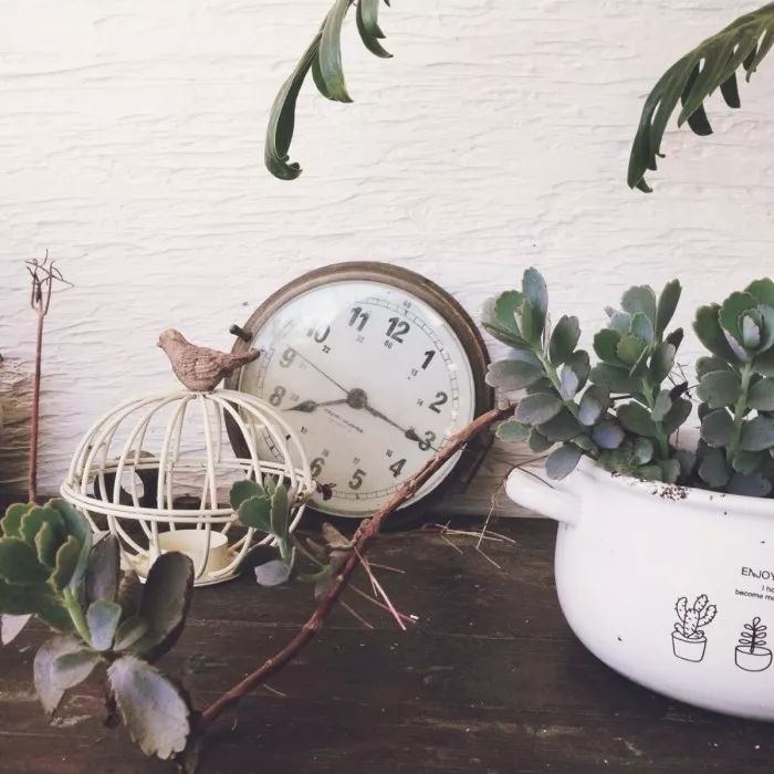 生活管理100个小技巧,生活管理主要是什么