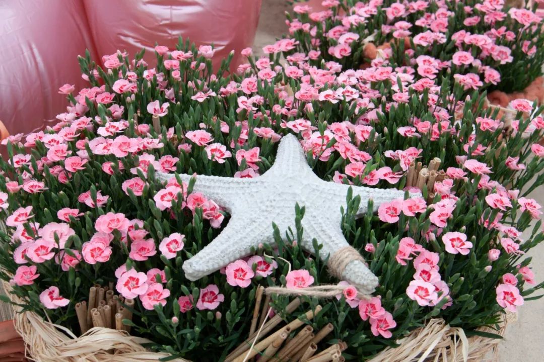 搴蜂箖棣╨ove,搴蜂箖棣╨ove缁勫悎