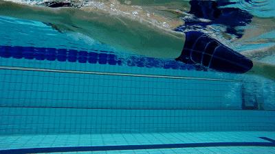 乐清中考体育标准提高了吗,孩子中考体育家长该做些什么