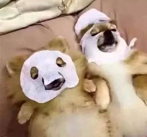 韩妆为什么会显得油腻,韩妆考验底子吗