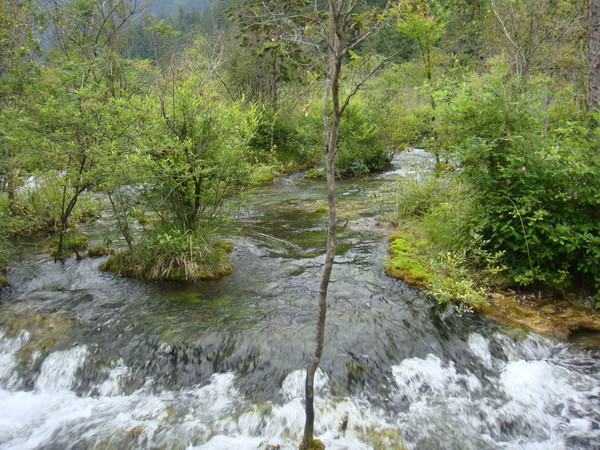 温馨提示,去九寨沟温馨提示