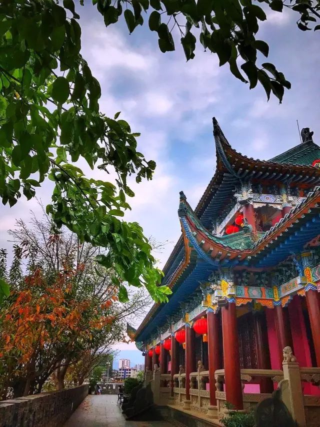 四川有座紫色小城，5月比美澳洲，比大理更多情