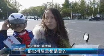 这种“yin树”气味不可描述，常州街头处处都是！还种不种？官方回应来了……