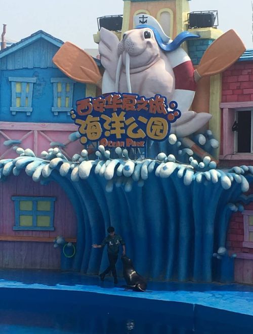 西安研学之旅活动感受,西安海洋馆华夏之旅研学体会