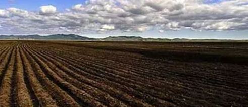 土壤氮素与土壤肥力关系,肥沃土壤氮磷钾标准是多少