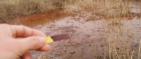 土壤氮素与土壤肥力关系,肥沃土壤氮磷钾标准是多少
