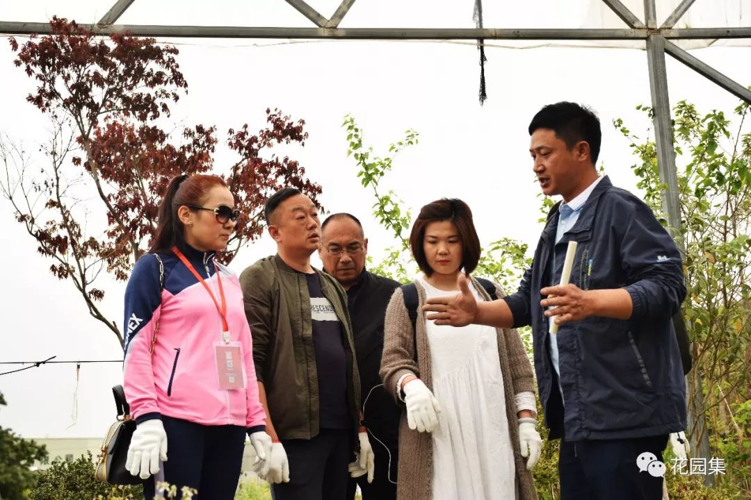 喷灌浇水最快的方法,庭院自动喷灌用什么水