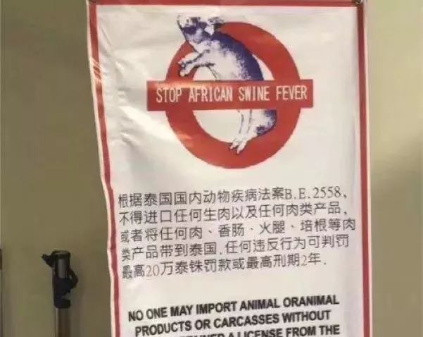 女子刚下飞机就被捕，还差点判死刑，只因带了这个！我们行李箱里也几乎都有！