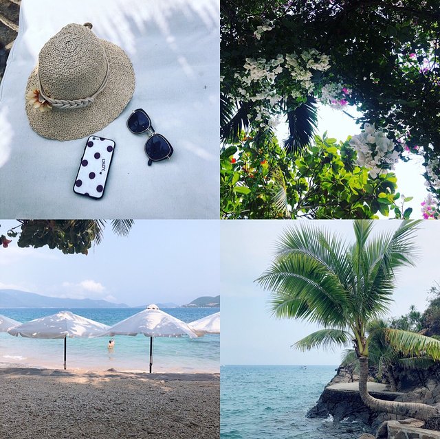 越南越美自由行攻略,越南越美旅游推荐