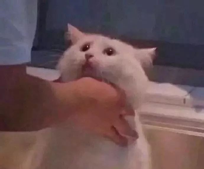 体毛旺盛的女生到底有多惨??看着都疼啊啊啊啊